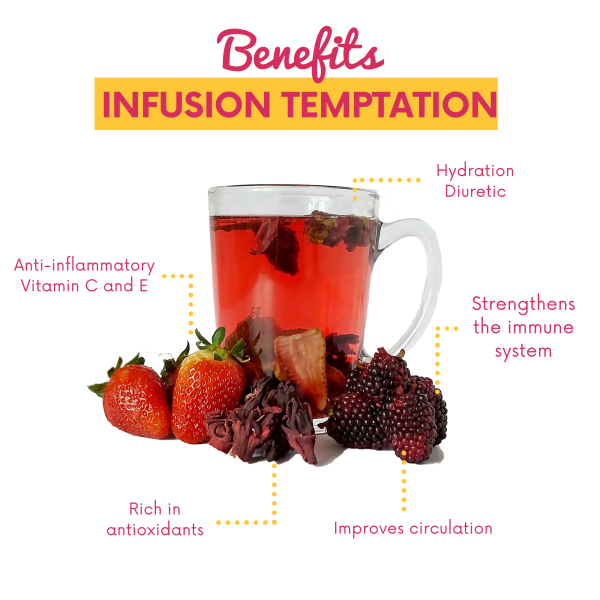 Dried Fruit Temptation Infusion Tea