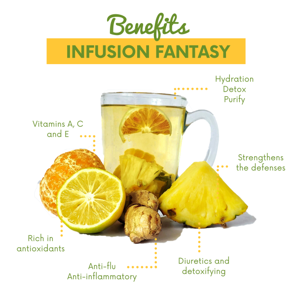 Dried Fruit TROPICAL Infusion Tea